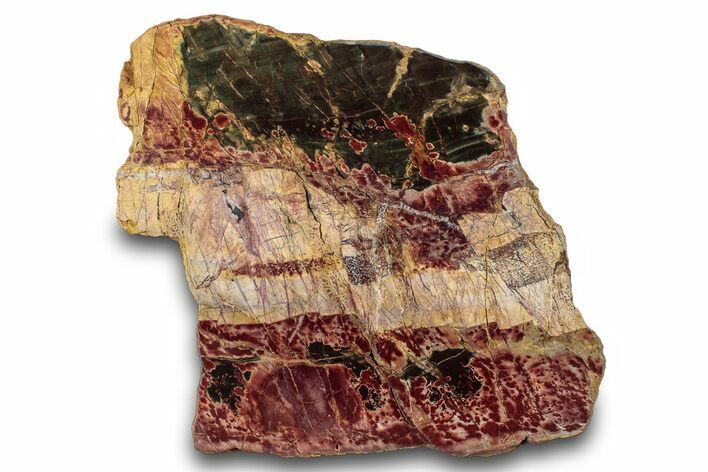 Polished Cherry Creek Jasper - China #283111